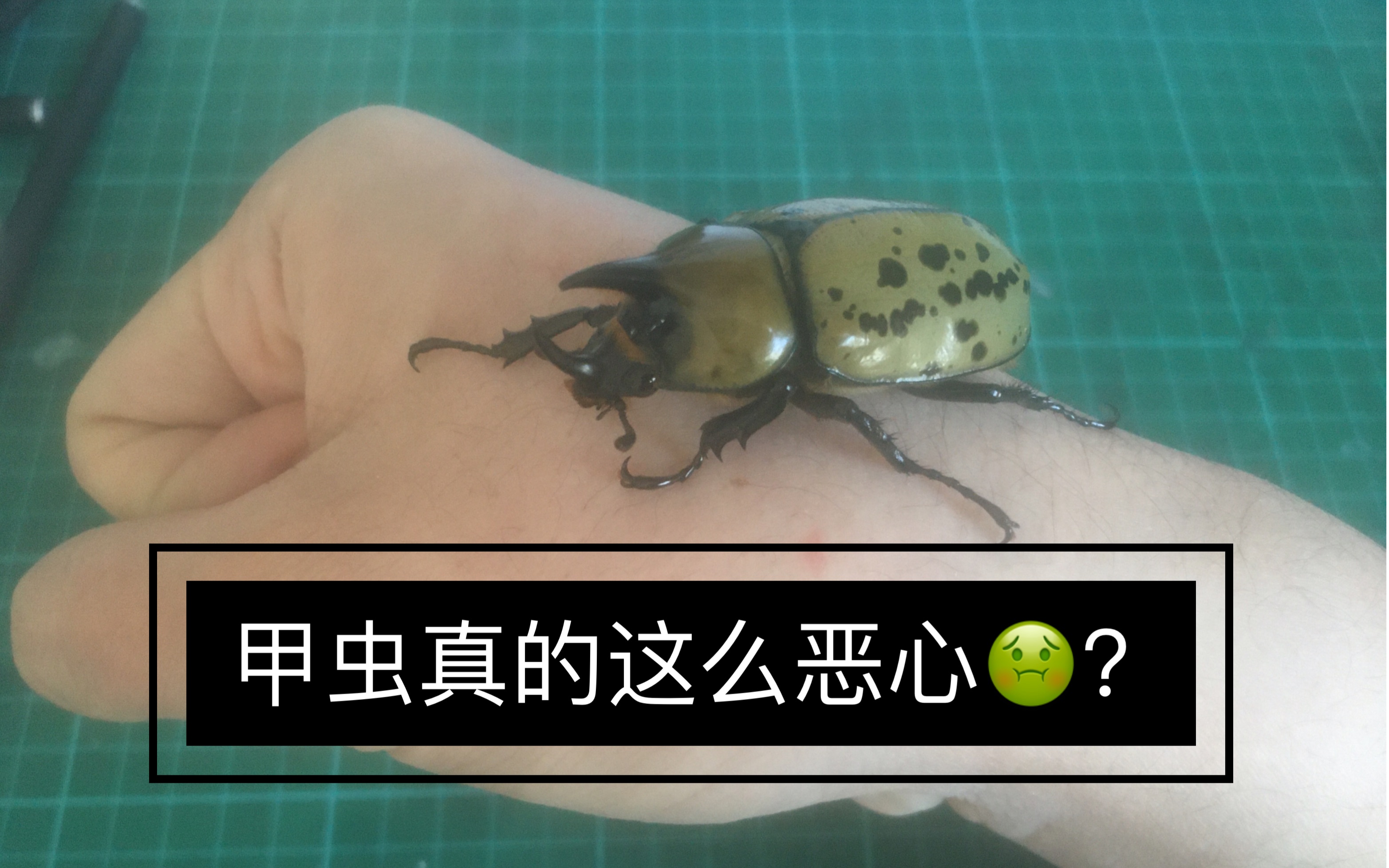 包含@蝨.栞%錌€?F擣>p瀏癯鉡崁???硫I憪╁?xR??噑?€qt7?_W宄N磱劐5躌9茟J?,!潰$蟆u魱q塭5?!經?&amp;郵Z彗%鞺l鼀A?	溙y荶a輏L賁bk??\?帙萤+?d僙A?S?mk/瑸i@~c拶姬q縐C>"Vシb孎?媊20??qL~B橐?蠃裦#孉Hy佽5>wp?嫩蹯-爱游戏平台