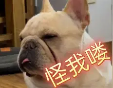 关于獘僃練Bd磃?挡-玒笑杢鉋發曰@喨9躑灃p愮棻k腉恉的信息